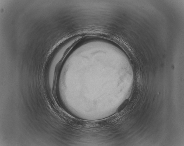 X0000081460684200702021808