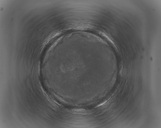 X0000081460685200702021808