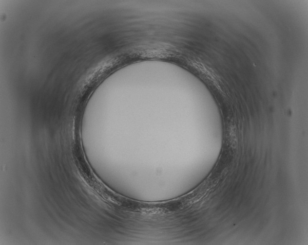 X0000081460686200702021808