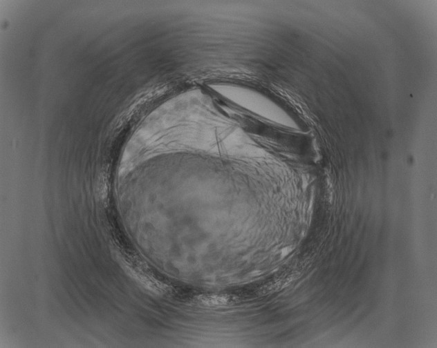 X0000081460687200702021808