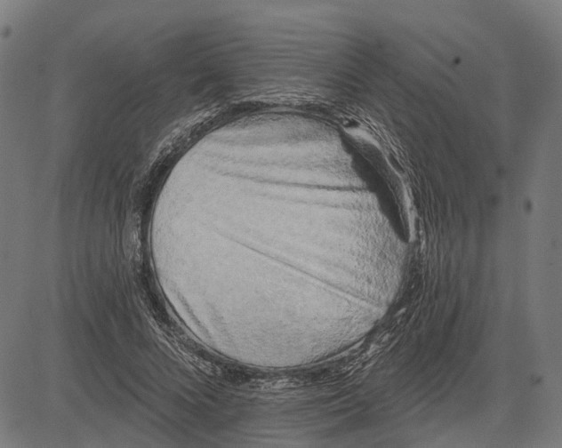 X0000081460688200702021808