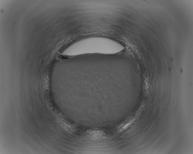 X0000081460689200702021808