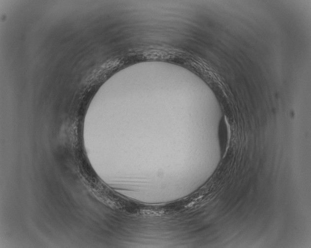 X0000081460690200702021808