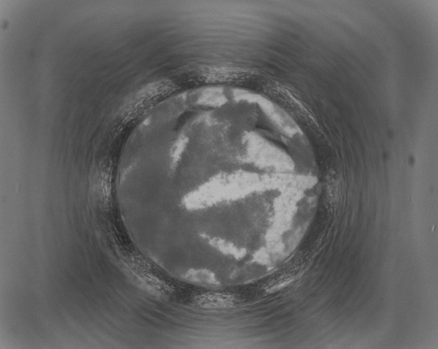 X0000081460691200702021808