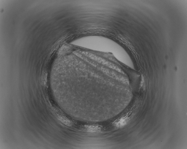 X0000081460693200702021808