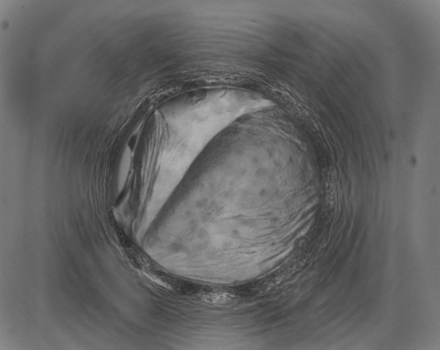 X0000081460695200702021808