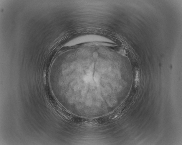 X0000081460696200702021808