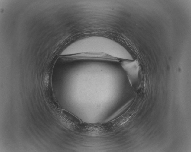 X0000081460697200702021808