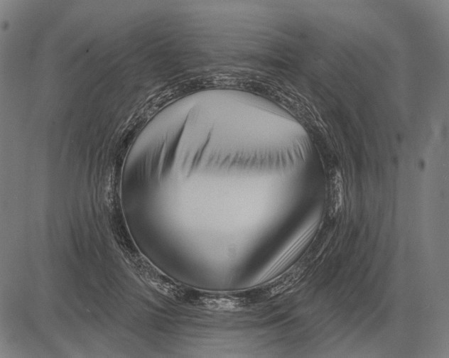 X0000081460698200702021808