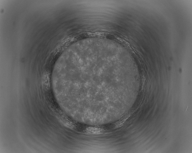 X0000081460699200702021808