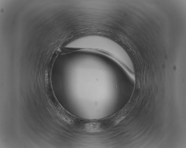 X0000081460700200702021808