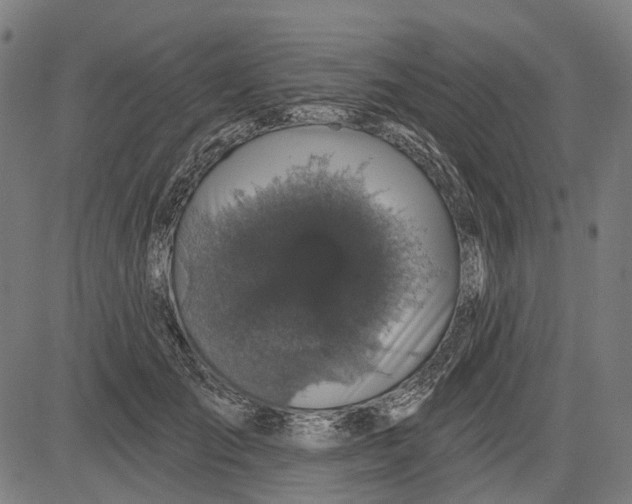 X0000081460701200702021807