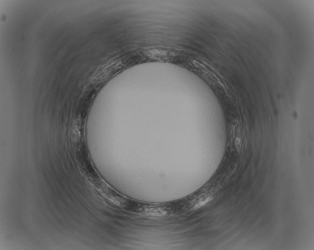 X0000081460702200702021807