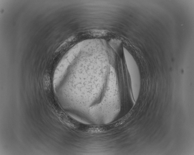 X0000081460704200702021807