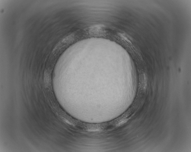 X0000081460705200702021807