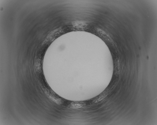 X0000081460706200702021807