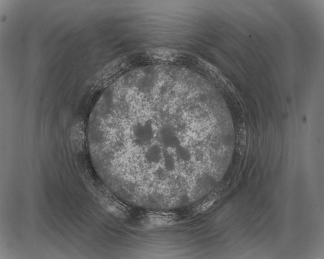 X0000081460707200702021807