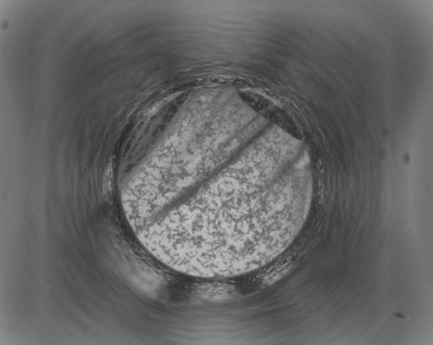 X0000081460708200702021807