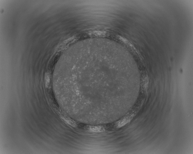 X0000081460709200702021807