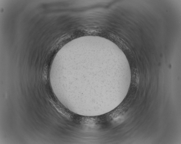 X0000081460710200702021807