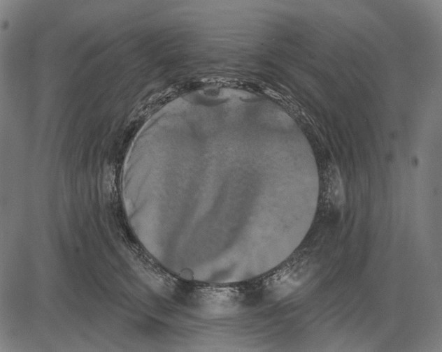 X0000081460711200702021807