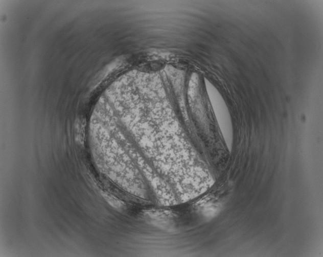 X0000081460712200702021807