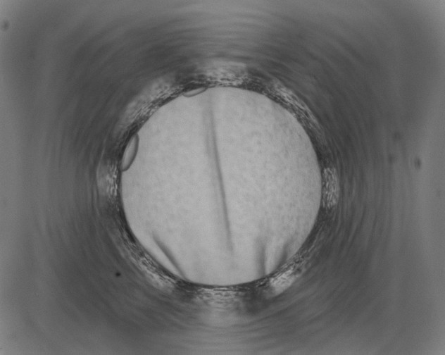 X0000081460713200702021807