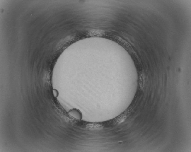 X0000081460714200702021807