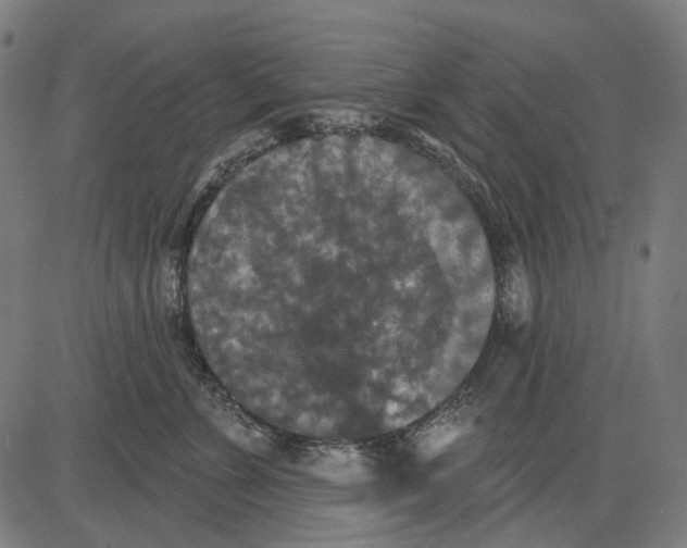 X0000081460715200702021807