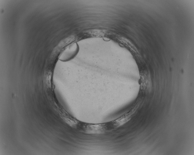 X0000081460717200702021807