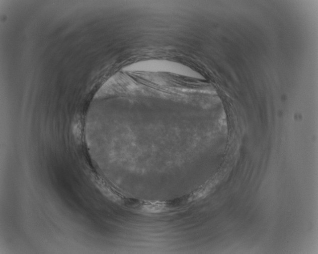 X0000081460720200702021807