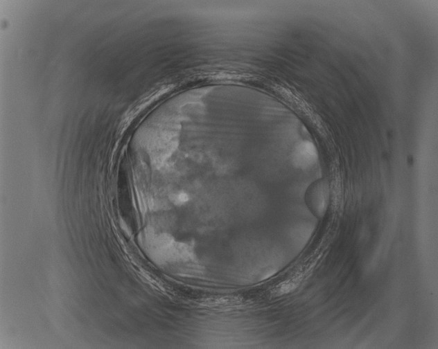 X0000081460721200702021806