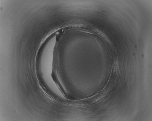 X0000081460722200702021806