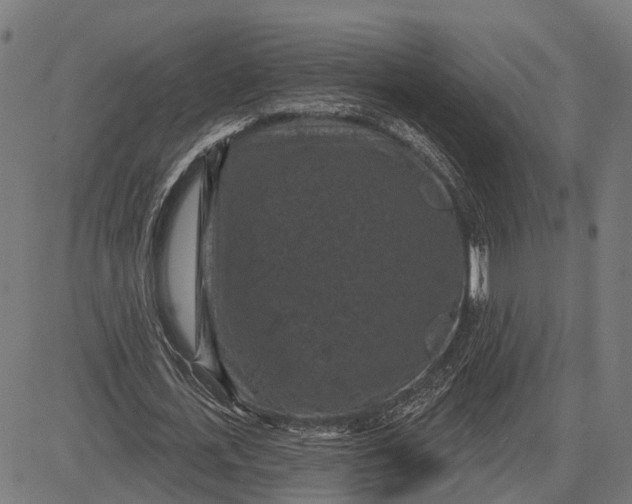 X0000081460723200702021806