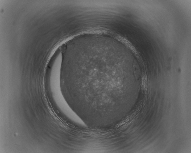 X0000081460724200702021806