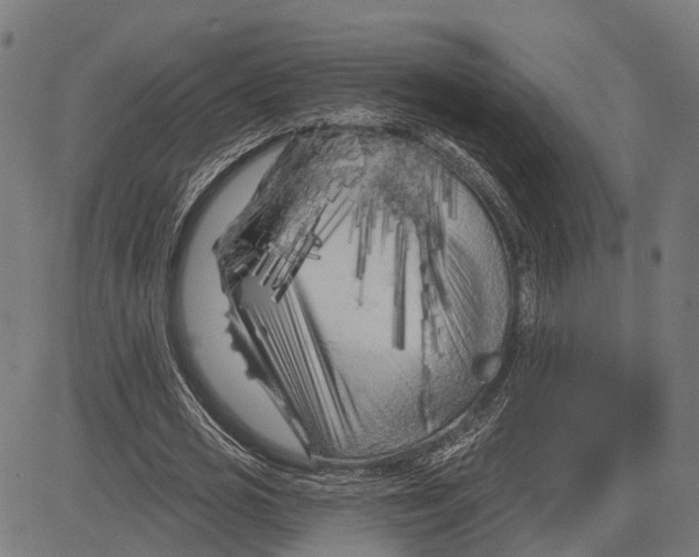 X0000081460725200702021806