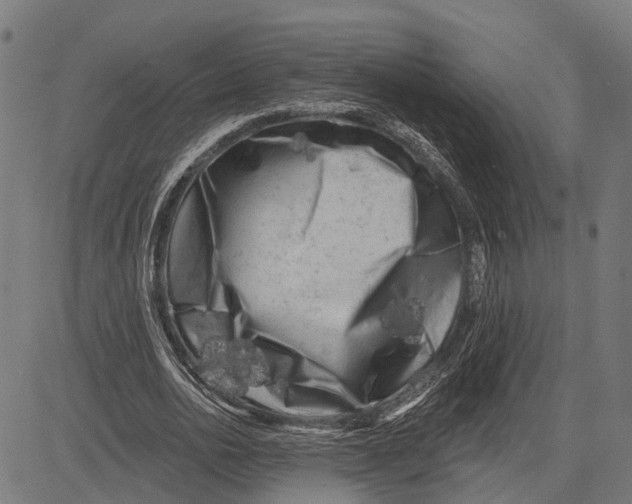 X0000081460726200702021806