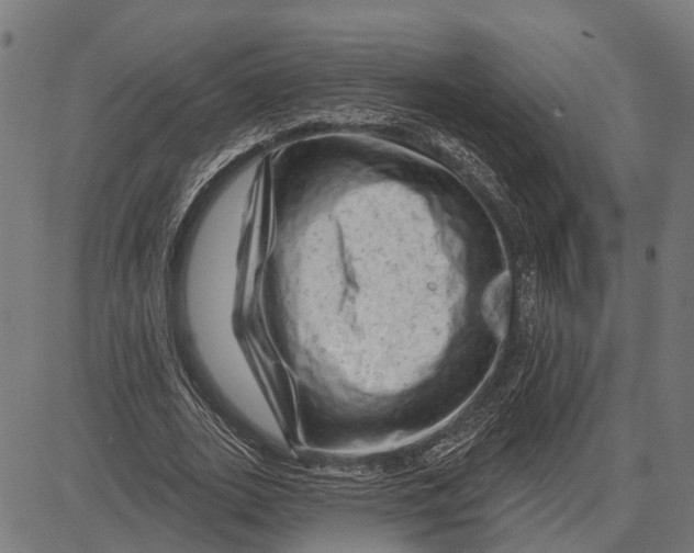 X0000081460727200702021807