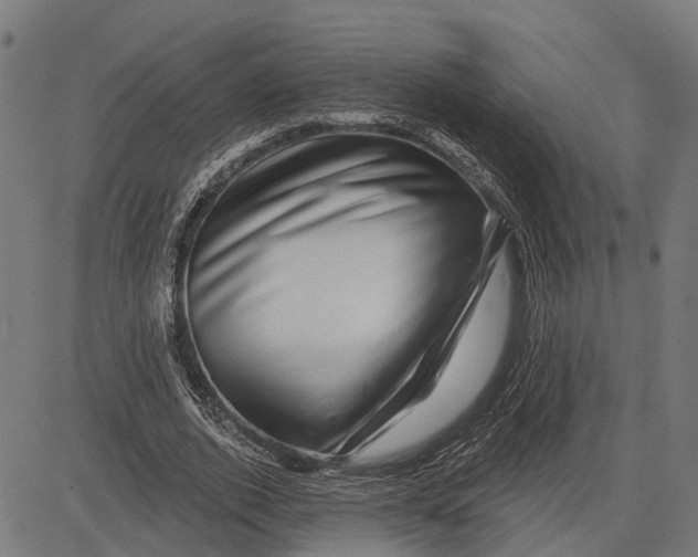 X0000081460728200702021807