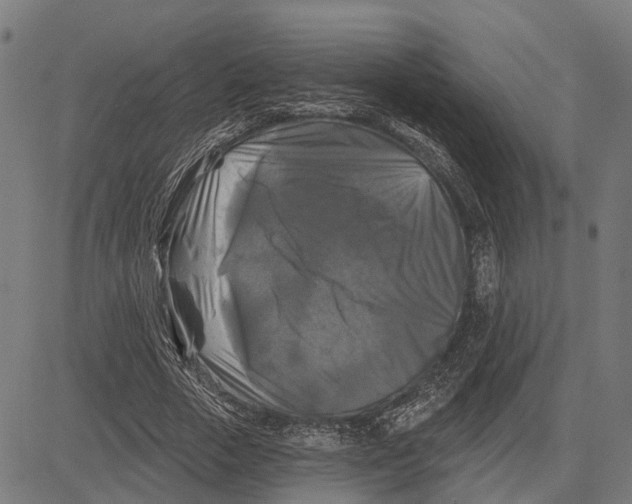 X0000081460729200702021807