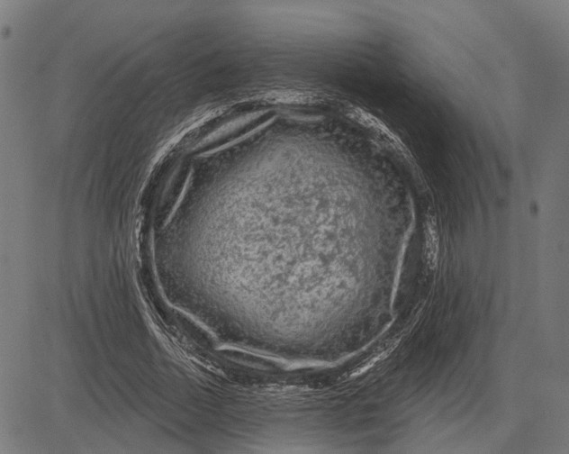 X0000081460730200702021807