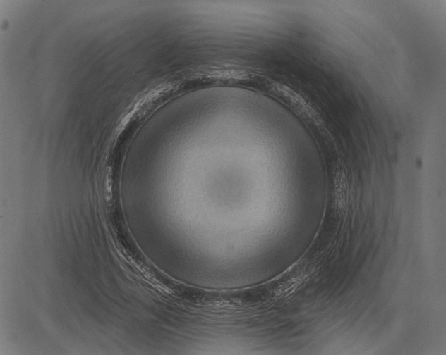 X0000081460731200702021807