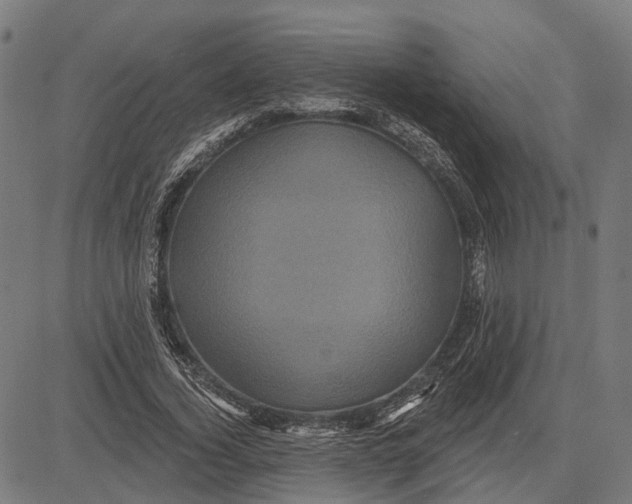 X0000081460732200702021807