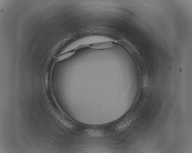 X0000081460733200702021807