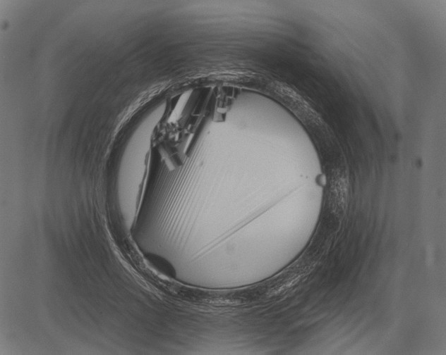 X0000081460734200702021807