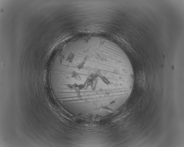 X0000081460735200702021807