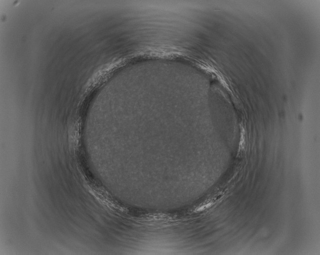 X0000081460736200702021807