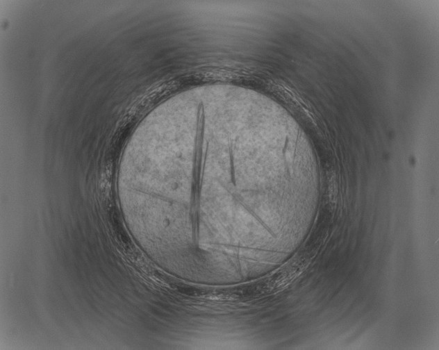 X0000081460737200702021807