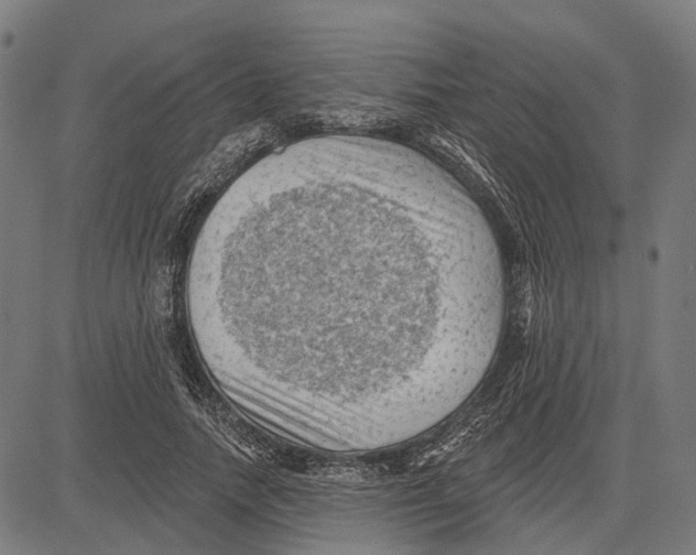 X0000081460738200702021807