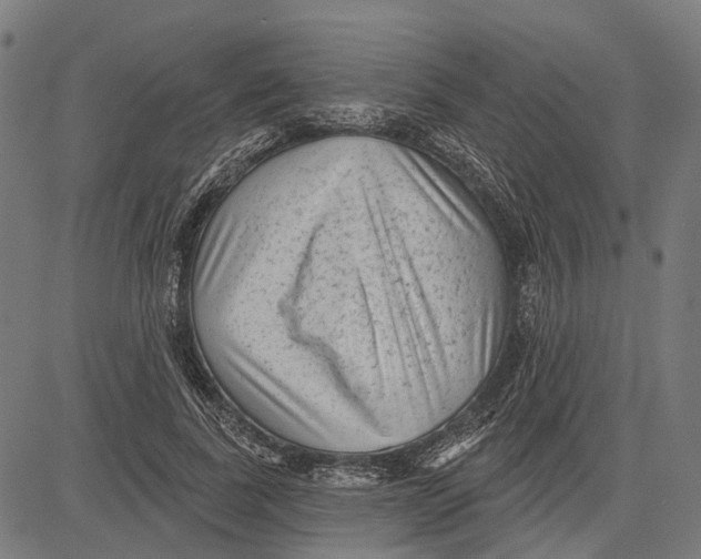 X0000081460739200702021807